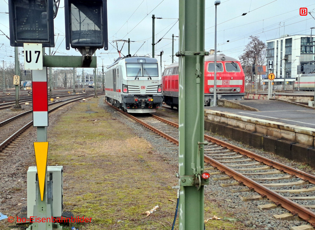 20260224_113007-db.jpg