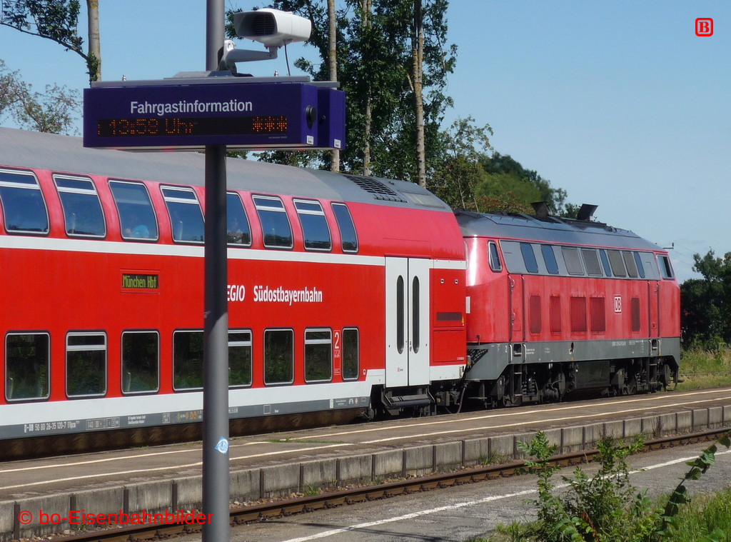 P3060560-db.JPG