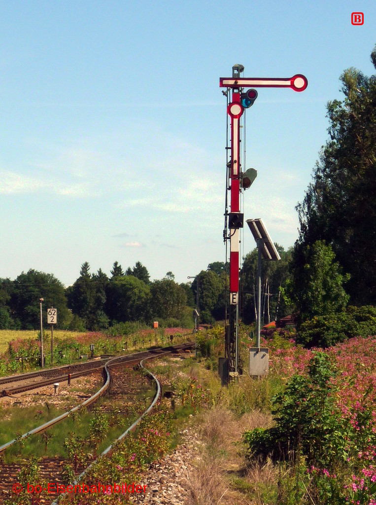 P3060614-db.JPG