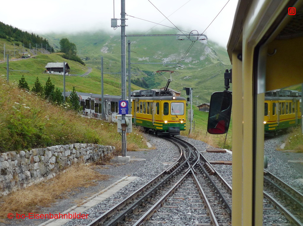 P3060775-db.JPG