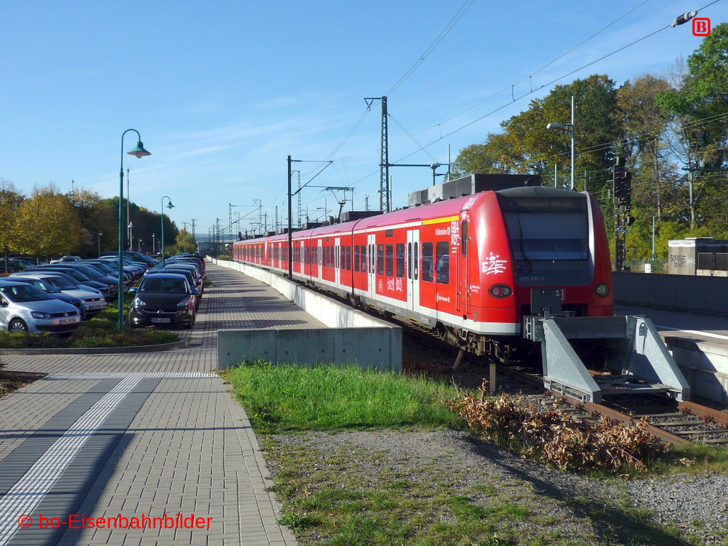 P3180605-b.JPG
