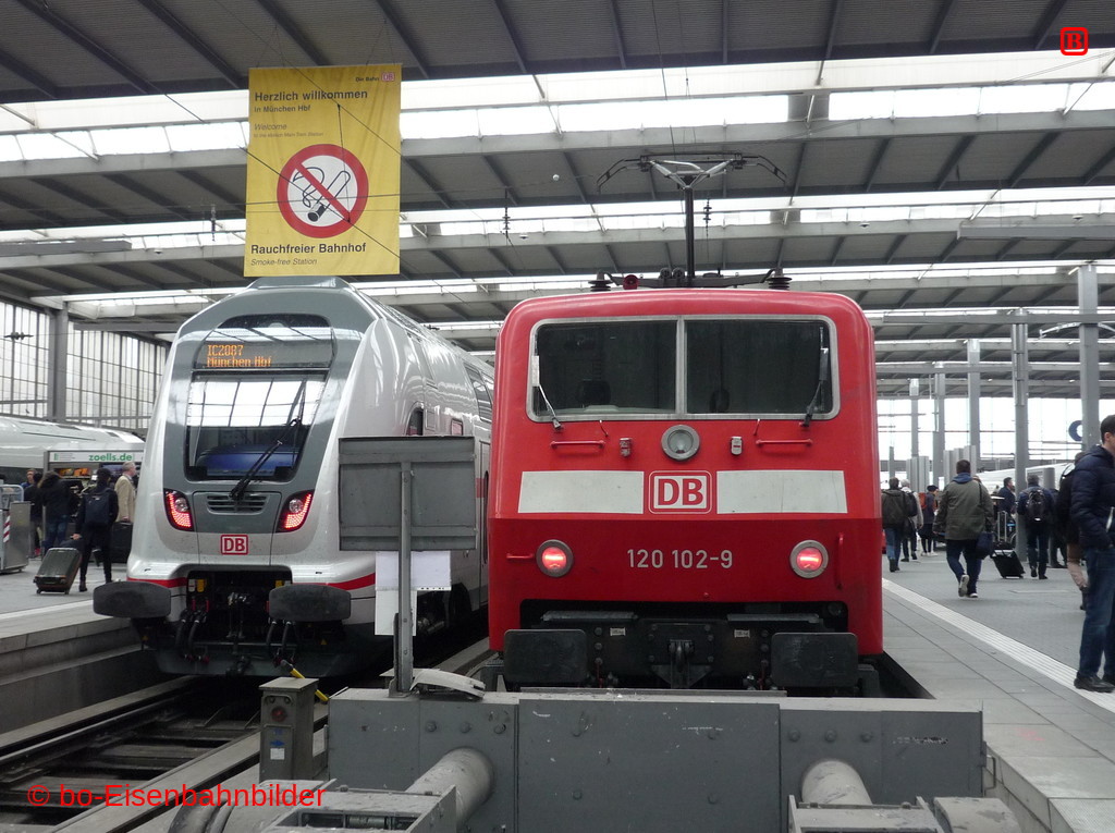 P3180850-db.JPG