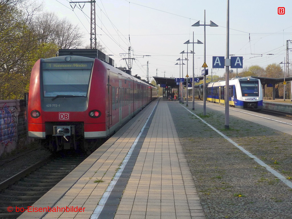 P3180856-db.JPG