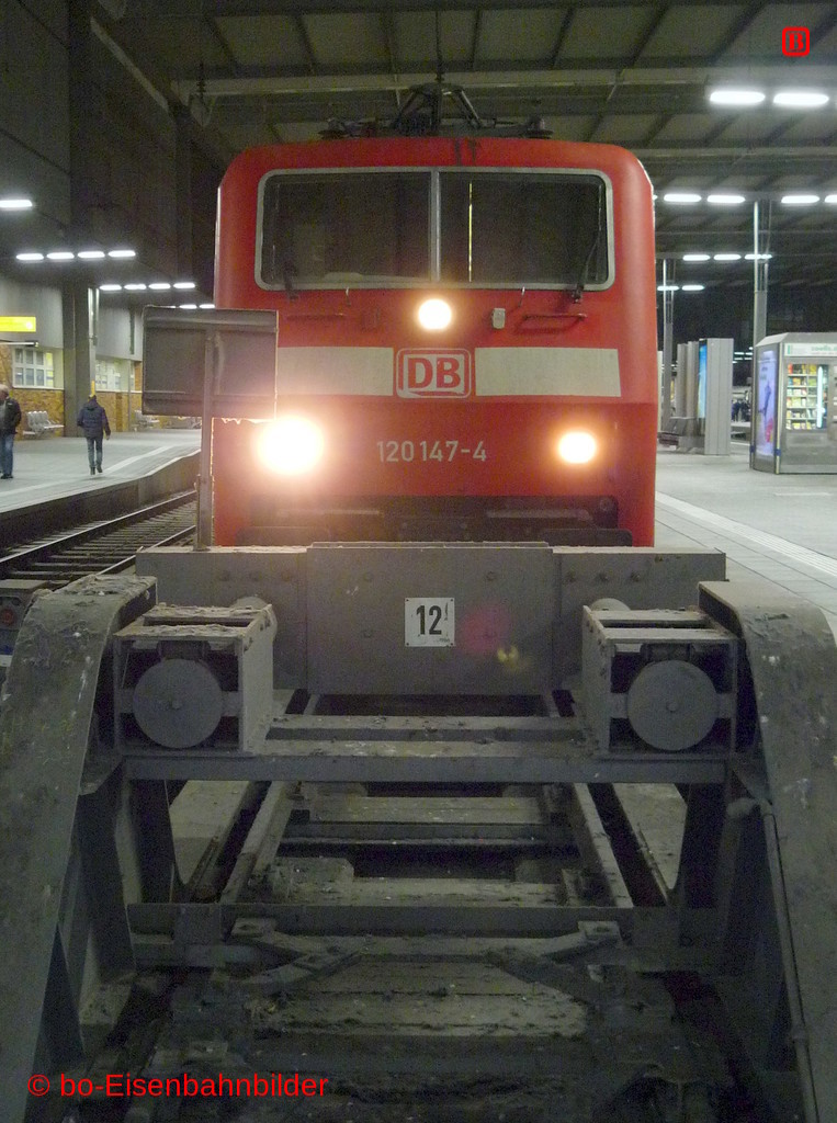 P3200190-db.JPG