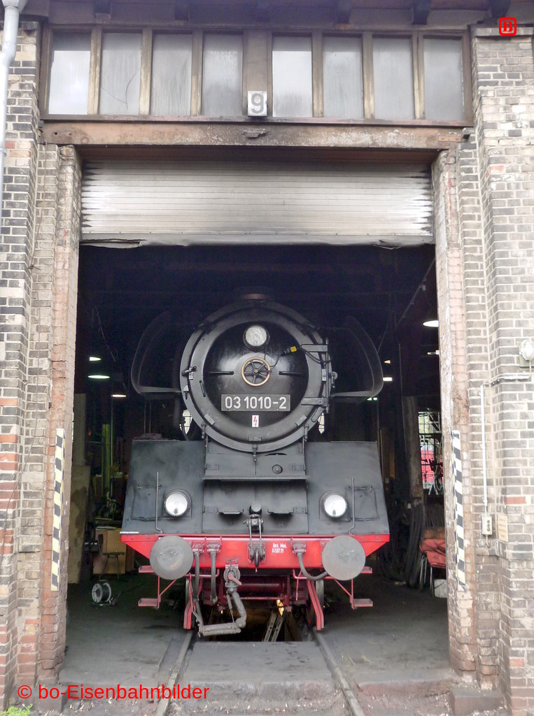P3100666-db.JPG
