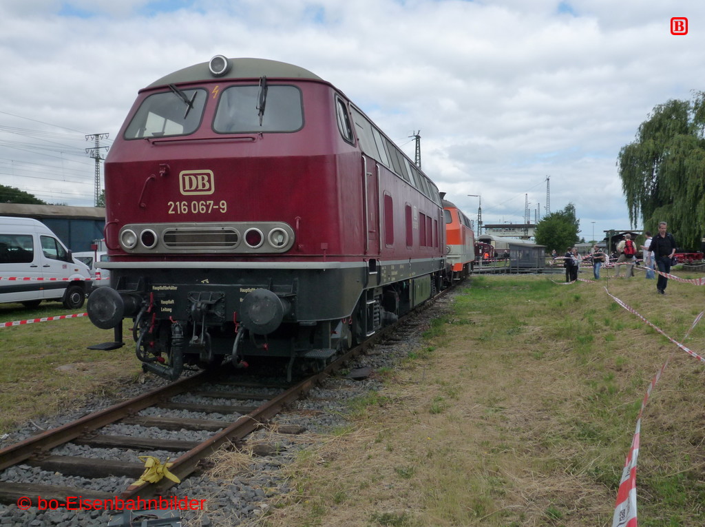 P3110528-db.JPG