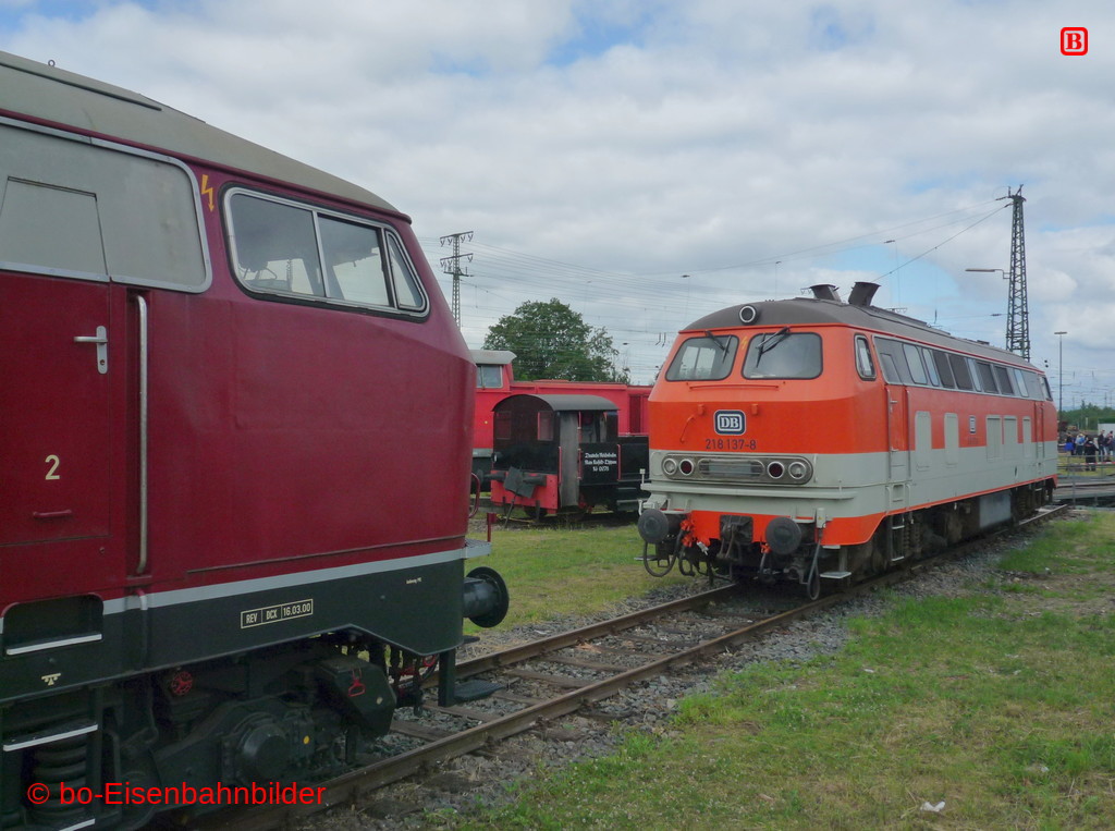 P3110529-db.JPG