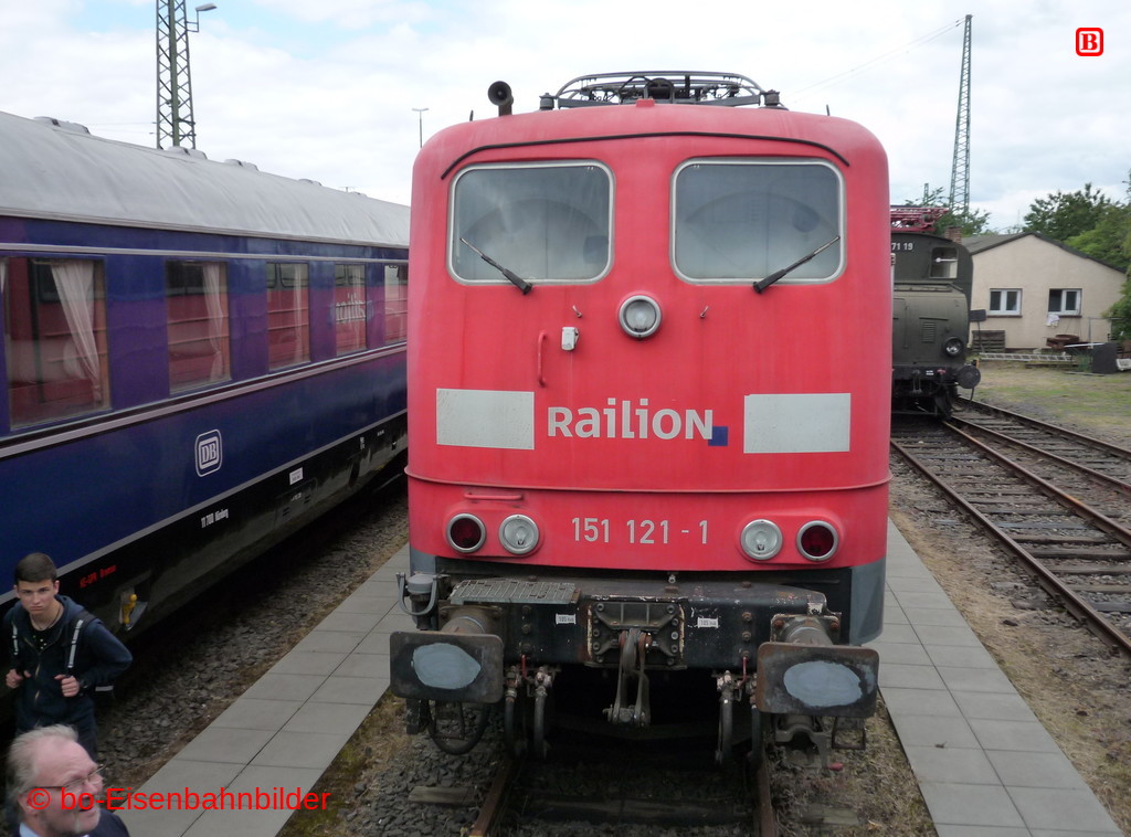 P3110553-db.JPG