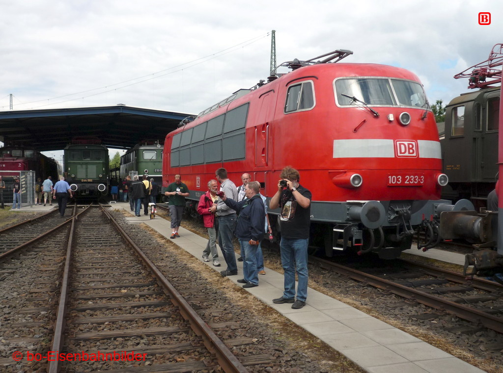 P3110559-db.JPG
