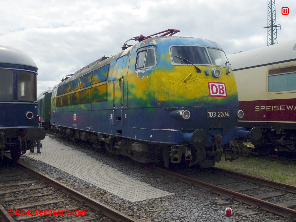 P3110560-db.JPG