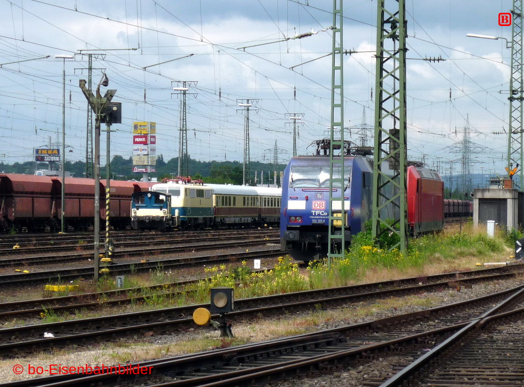 P3110569-db.JPG