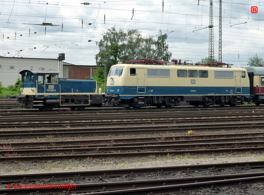 P3110571-db.JPG
