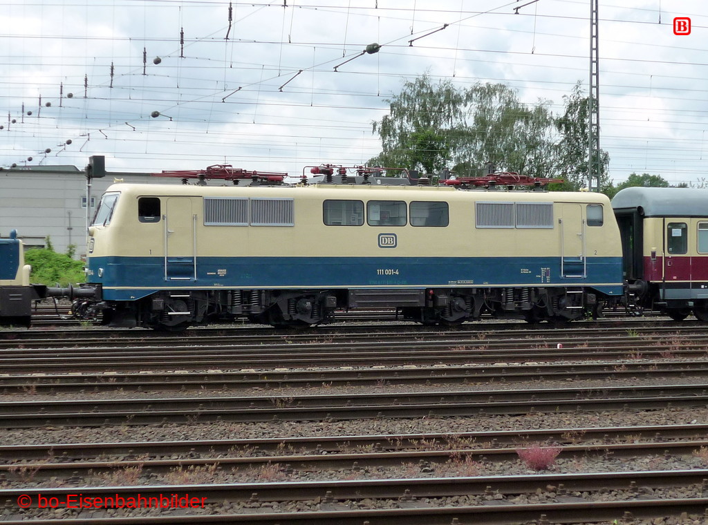 P3110572-db.JPG