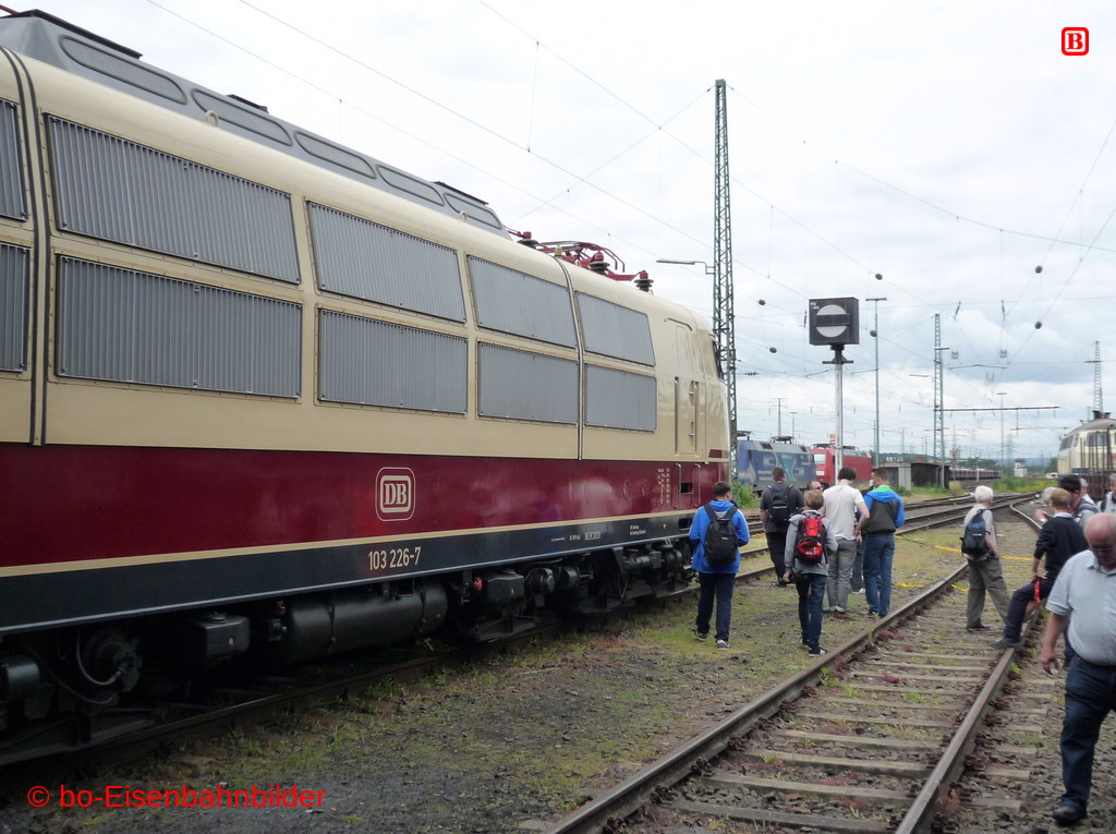 P3110575-db.JPG