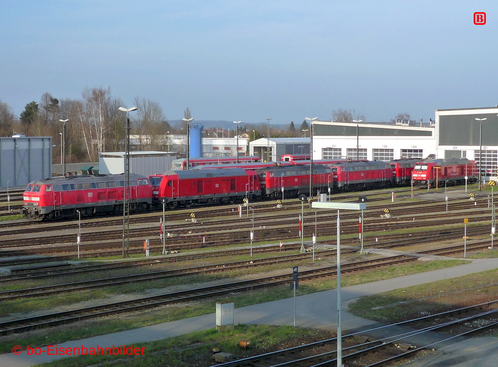 P3130720-db.JPG