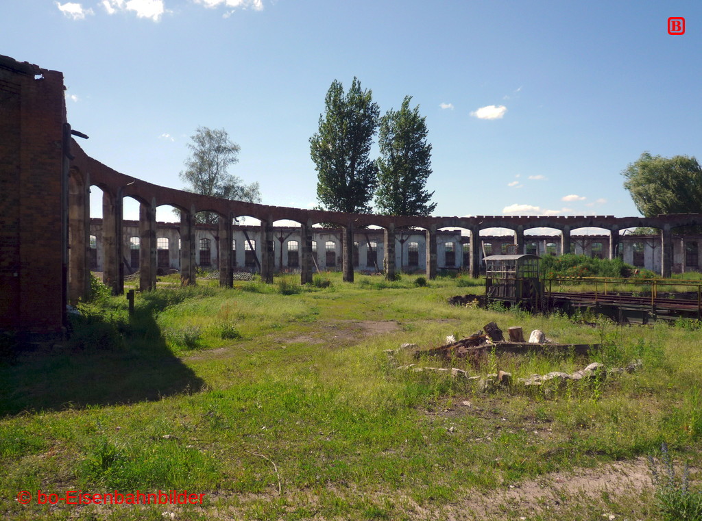P3190579-db.JPG