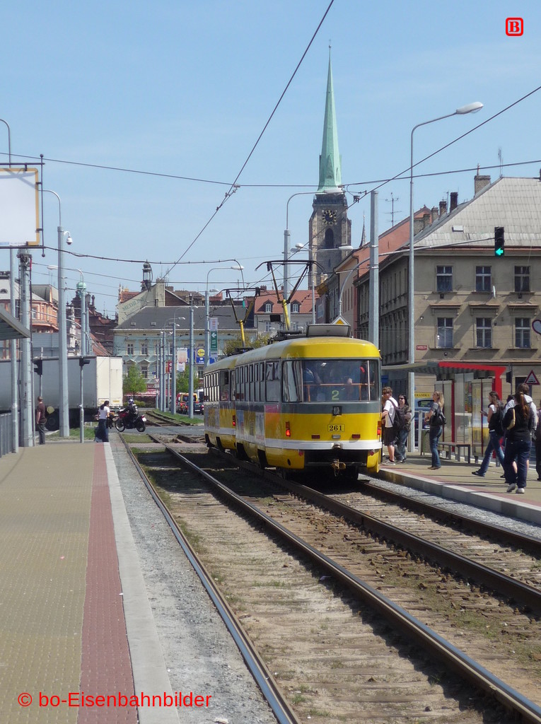 P3010510-db.JPG