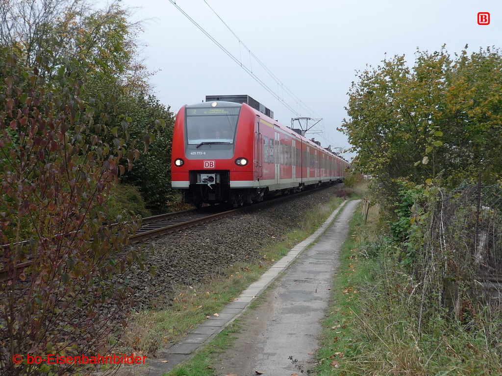 P3070871.JPG
