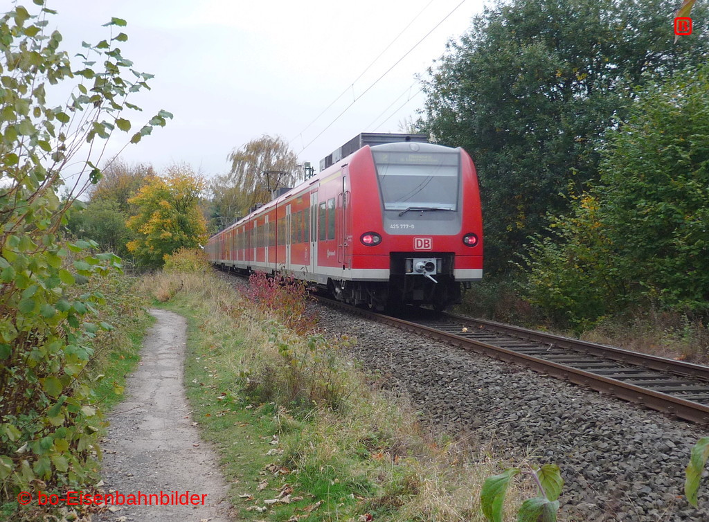 P3070872-db.JPG