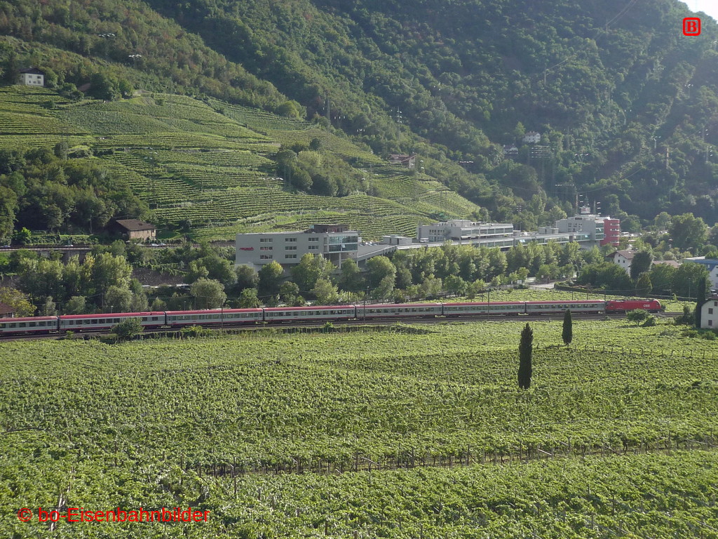 P3140535.JPG