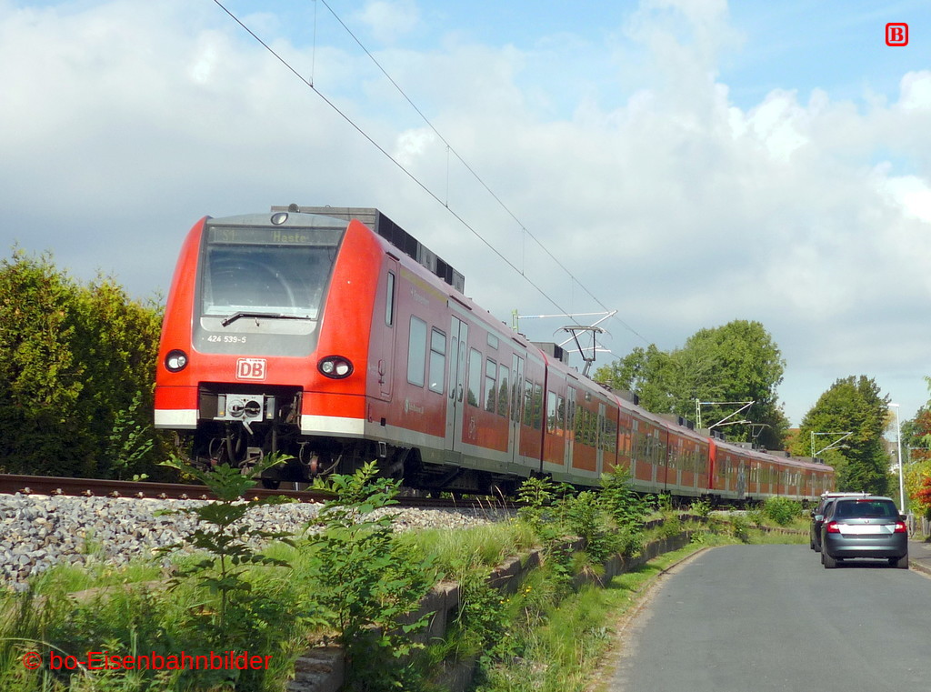 P3180526-db.JPG