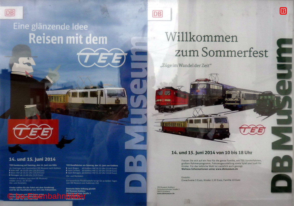 P3110684-db.JPG