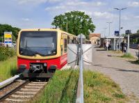 20250514_152011-db.jpg 20250514_152011-db.jpg