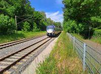 20250521_103359-db.jpg 20250521_103359-db.jpg