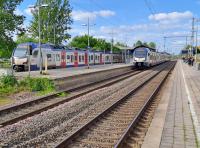 20250521_174059-db.jpg 20250521_174059-db.jpg