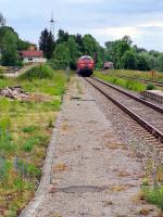 20250527_171107-b.jpg 20250527_171107-b.jpg