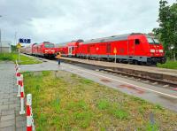 20250528_140251-db.jpg 20250528_140251-db.jpg