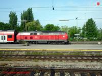 P3010720-db.JPG