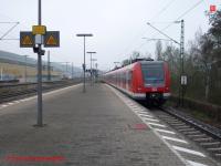 P3050092.JPG