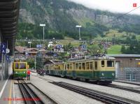 P3060822-db.JPG