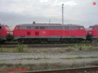 P3070716-db.JPG