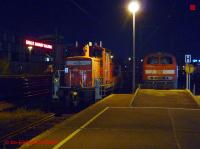 P3070835-db.JPG