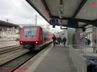 P3080680-db.JPG