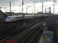 P3100272-b.JPG