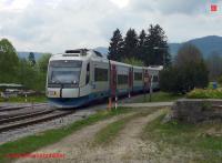 P3110269-db.JPG