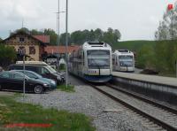 P3110270-db.JPG
