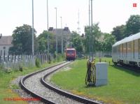 P3020004-db.JPG