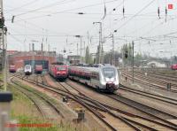 P3100652-db.JPG