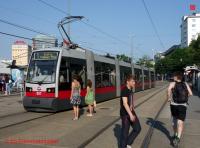 P3080802-db.JPG