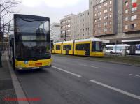 P3100345-db.JPG