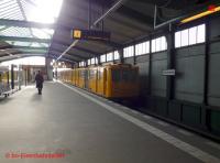 P3100356-db.JPG